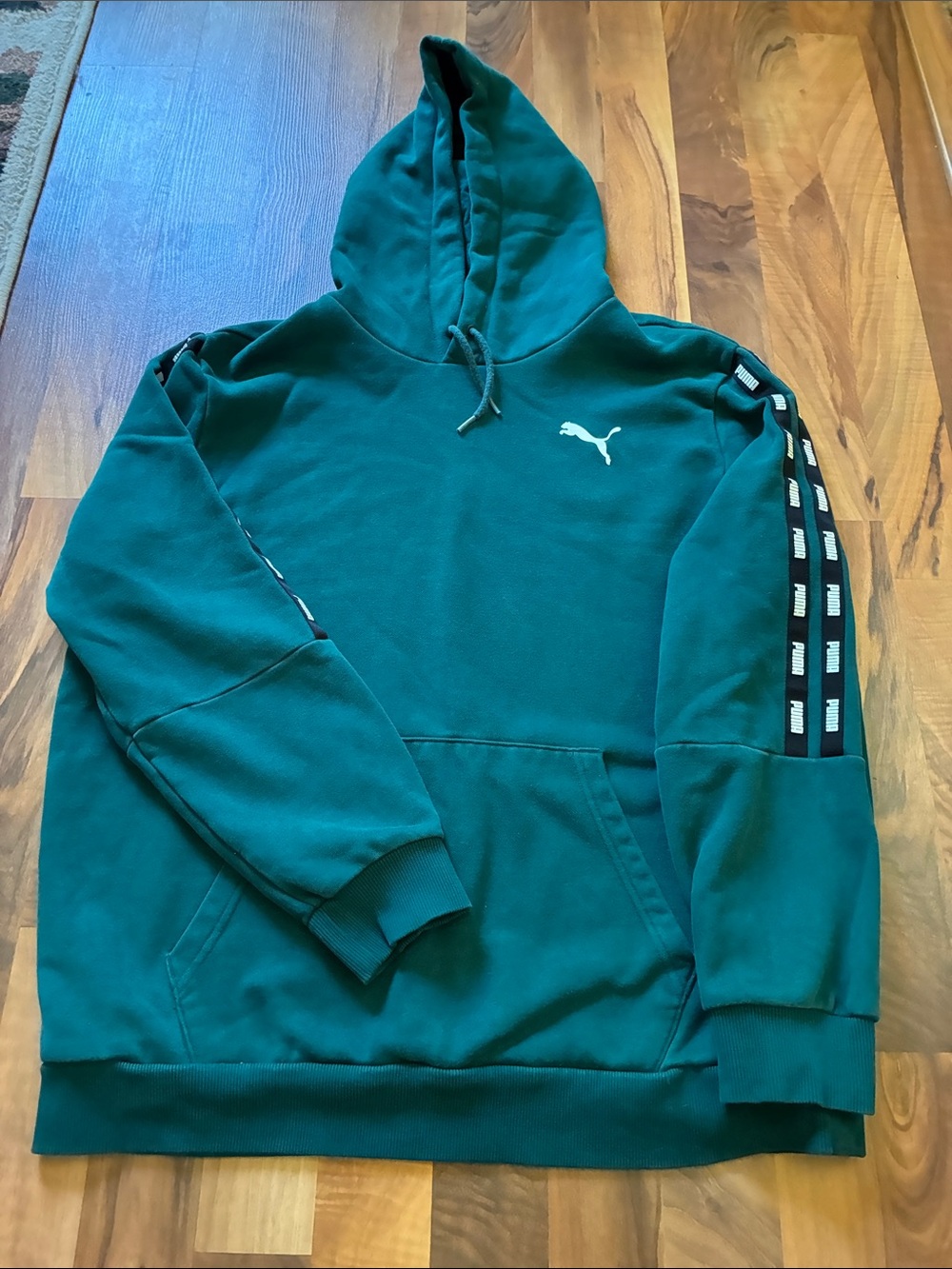 Puma Men’s Teal Green Hooded Pullover with Branded Sleeve Tape